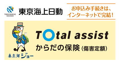 からだの保険・傷害定額